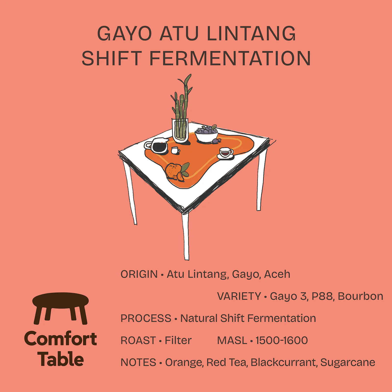 Gayo Atu Lintang Shift Fermentation